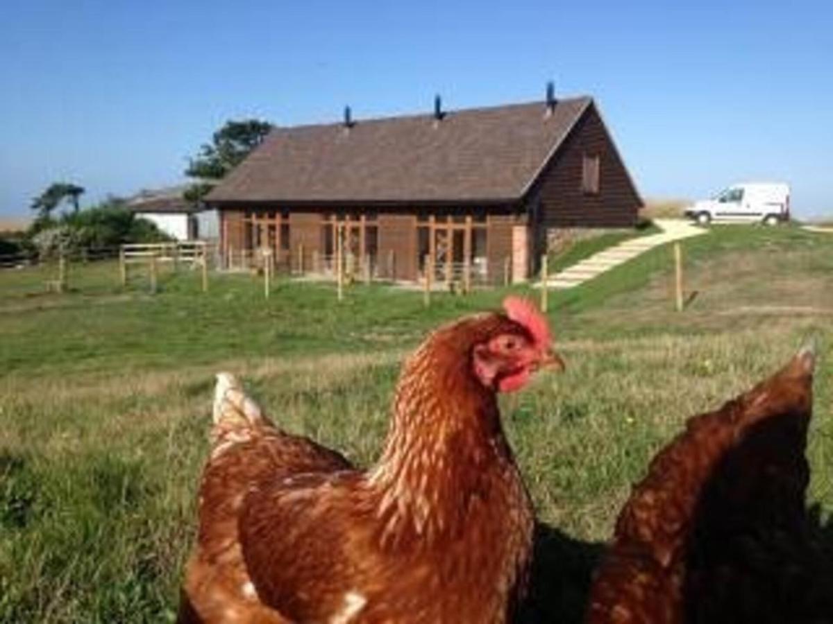 Surf Shack - Impeccable 1-Bed Cottage In Shorwell Exterior foto